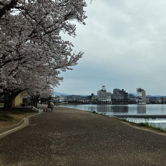 花見と川見

人混みもなく桜の木の下で川の音を聞きながらご飯食べたりお酒飲んだり
ゆっくりできる身近な幸せ

#三隈川 
#花見 #川見 #家族旅行 #familytrip #オーバーツーリズムに疲れたあなたへ 
#水処稀荘 #すいこまれそう #スイコマレソウ #1棟貸切の宿 #本棚 #土の部屋 #ムの間 #日田市 #hita #左官 #九州旅行の拠点地 #家具を堪能できる宿#orderfurniture #originaltable #bookshelf #clayroom #likeavillain #kyushutrip